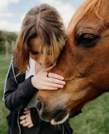 Community Support and Togetherness